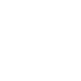 Product Management Consultancy